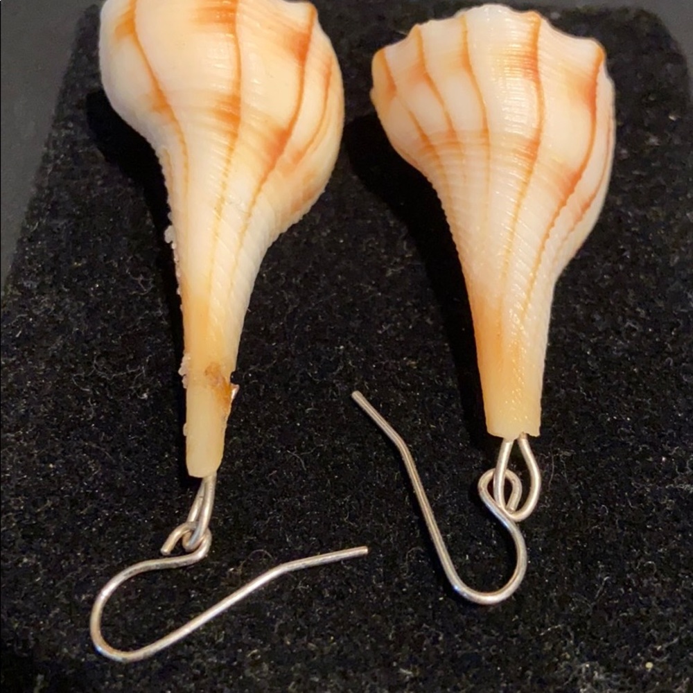 Hand Made SeaShell Earrings - Picture 4 of 5